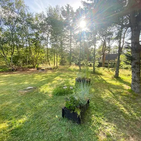 Familievenligt Hus Naer Tranum Klitplantage Hébergement de vacances